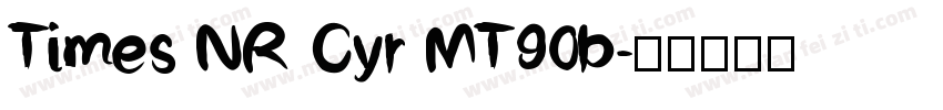 Times NR Cyr MT90b字体转换